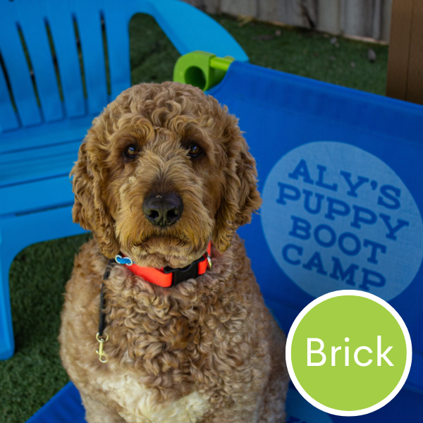 Brick