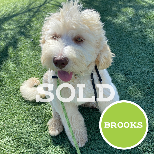 Brooks