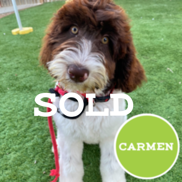 Carmen