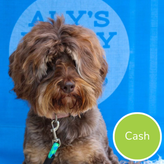 Cash