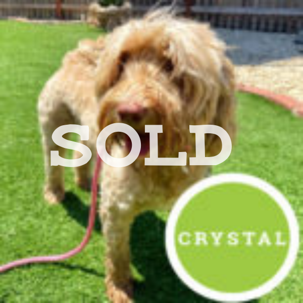 Crystal