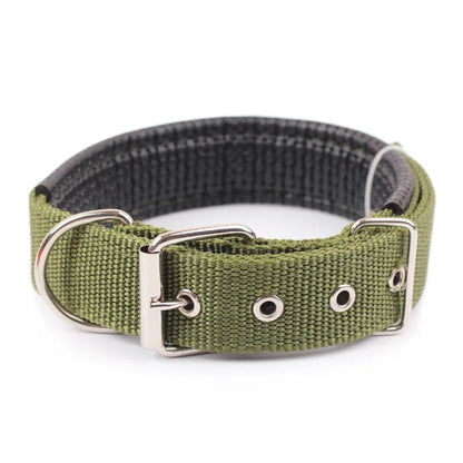 Dog Collar