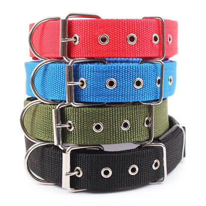 Dog Collar