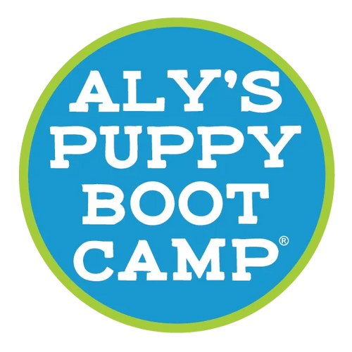 alyspuppybootcamp