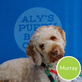 Murray