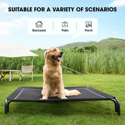 Dog Bed