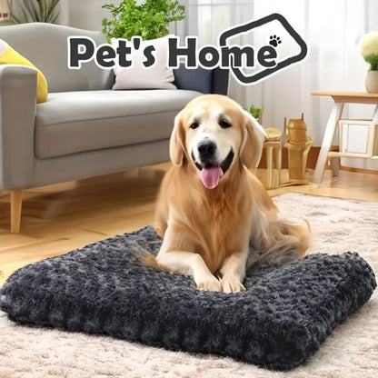Pet Blanket