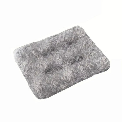 Pet Blanket