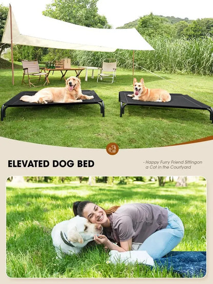 Dog Bed