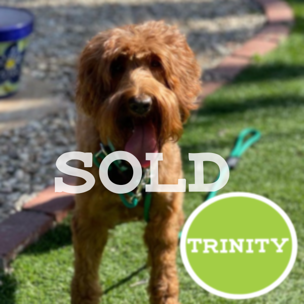 Trinity