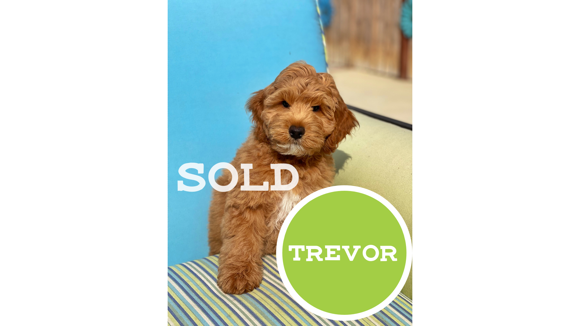 Trevor