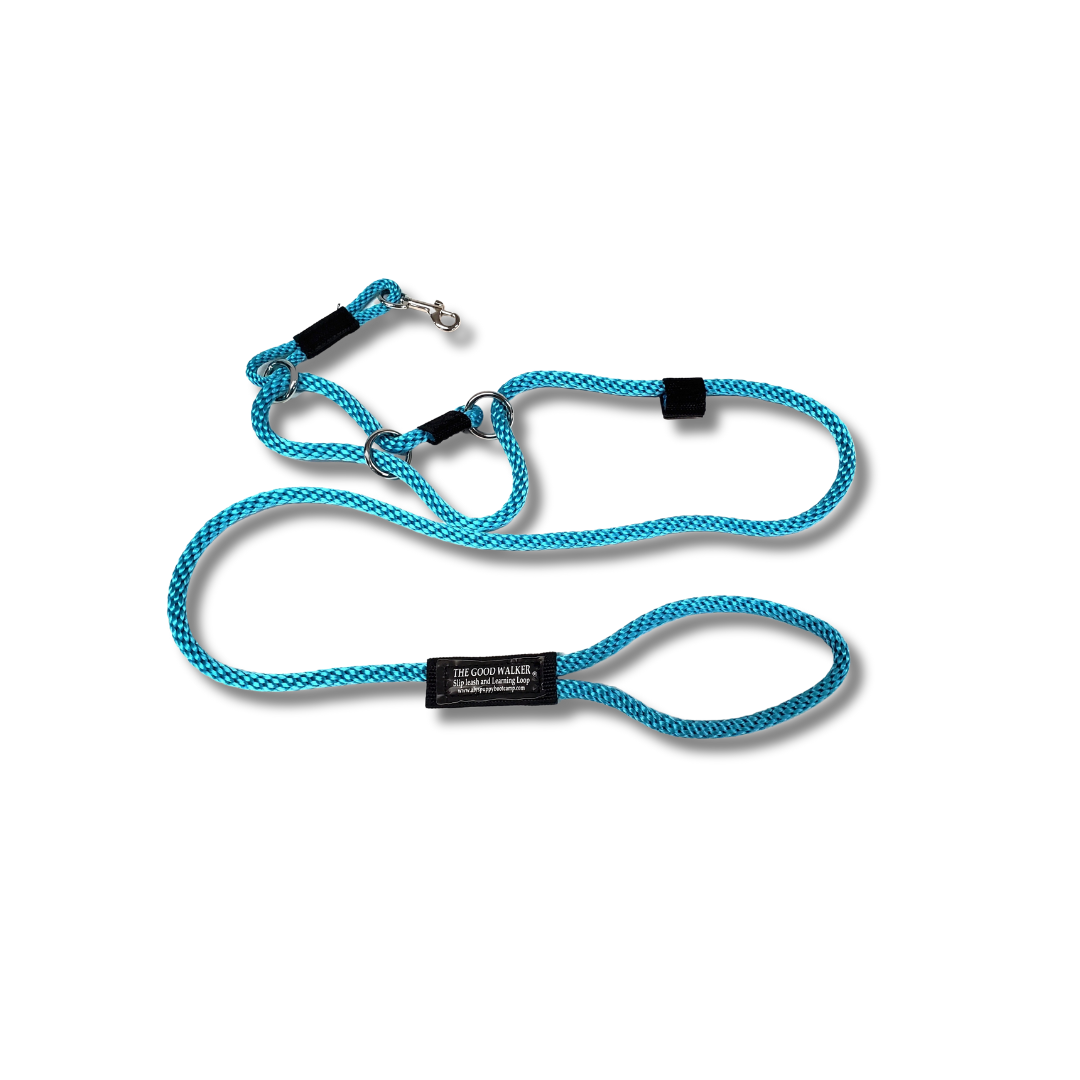 The Good Walker Leash