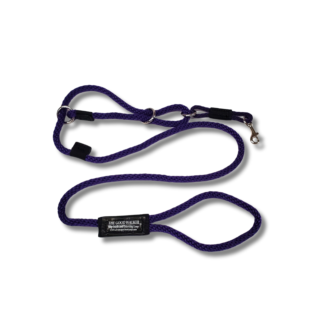 The Good Walker Leash
