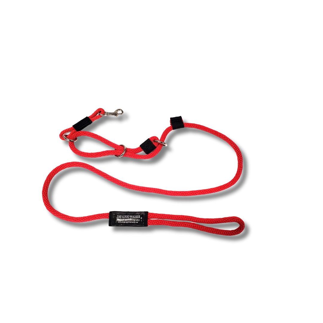 The Good Walker Leash
