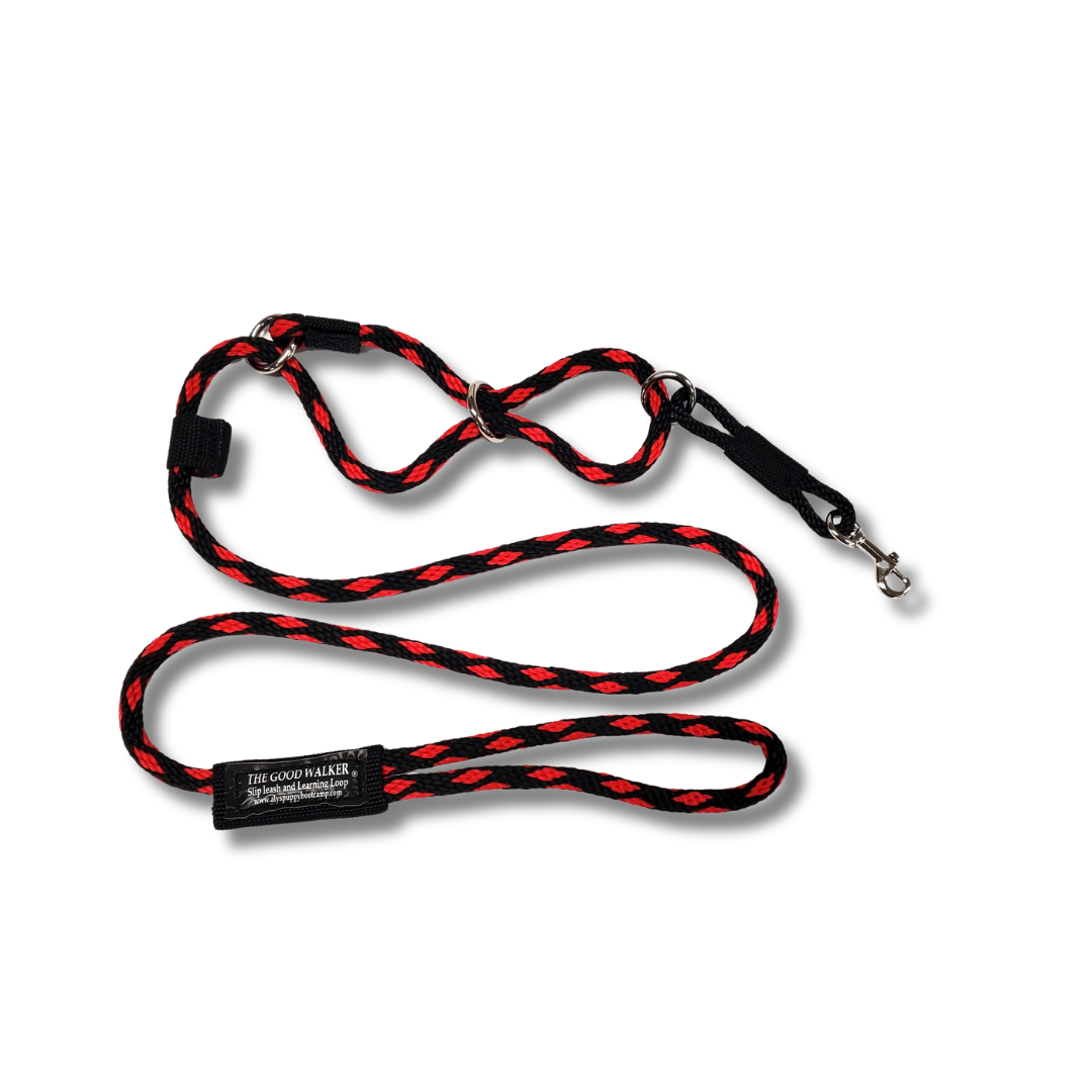The Good Walker Leash