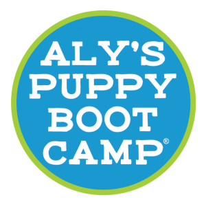 Aly's Puppy Bootcamp