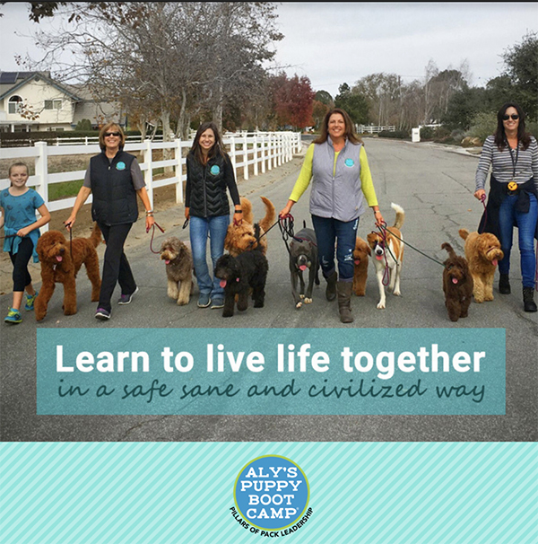 learn-live-img