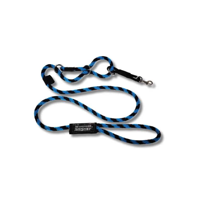 The Good Walker Leash