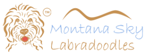 Montana Sky Logo Image