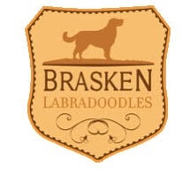 Brasken Labradoodles Logo