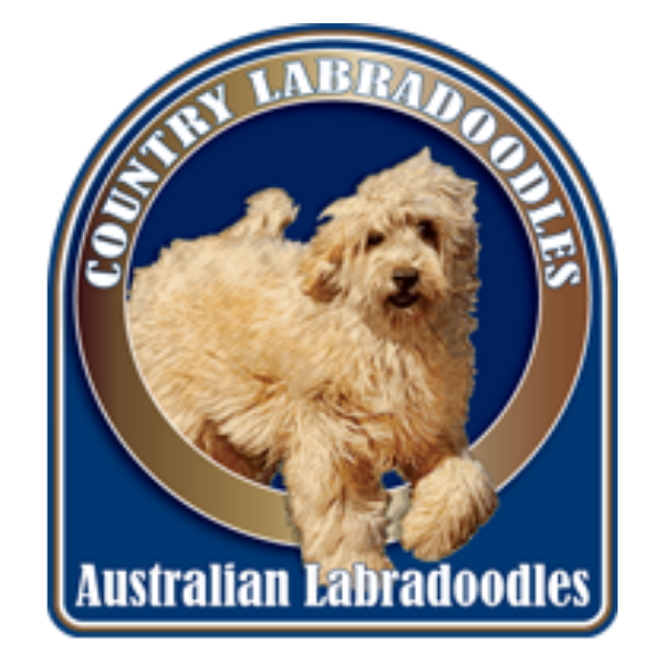 Country Labradoodles Logo