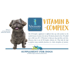 Vitamin B - Complex