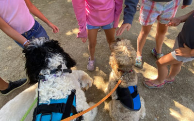How to Tell if your Dog Likes Kids (not all do!)