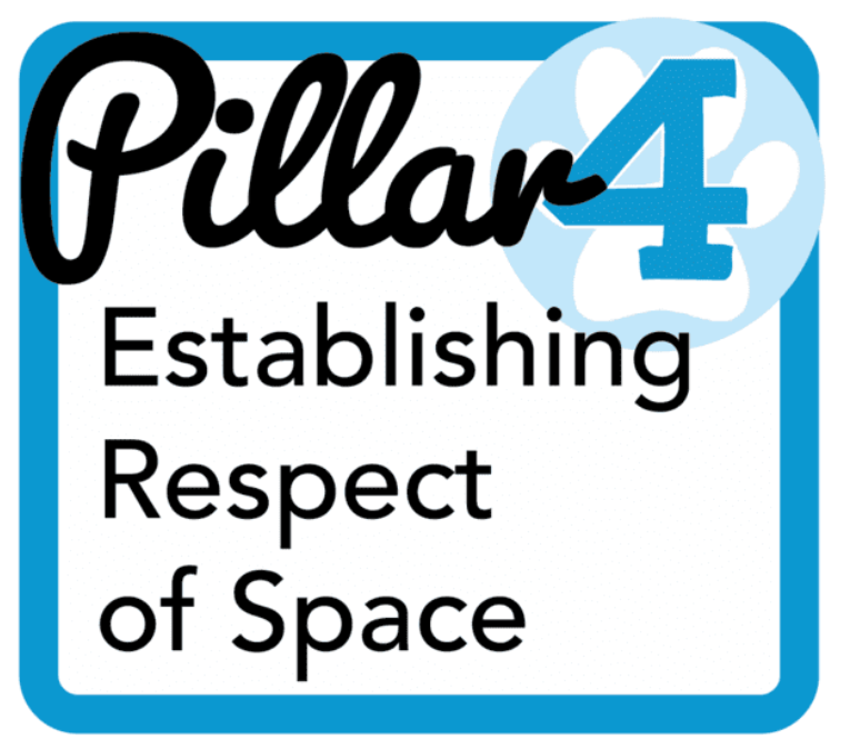 Pillar 4