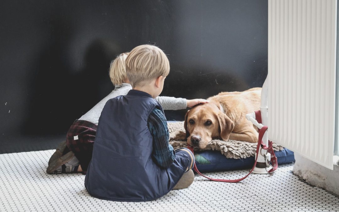 Dogs and Kids – How to Keep them Both Safe