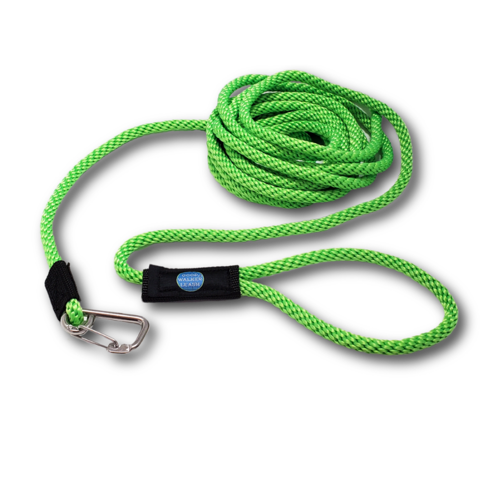Alys Puppy Bootcamp Dog Training Dog Behavior Classes Puppy alys-puppy-bootcamp-dog-training-dog-behavior-classes-puppy