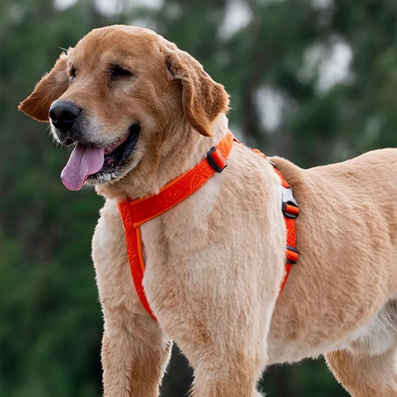 Pet Harness - Image 6